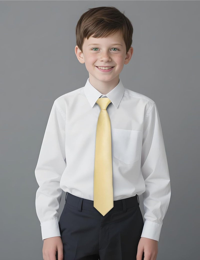 Ailisus Store Boys Tie Solid Color Silk Satin Pre-tied Kids Necktie for Age 8-12 Adjustable Formal Wedding School Graduation - Image 5